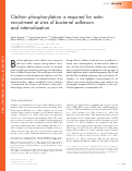 Cover page: Clathrin phosphorylation is required for actin recruitment at sites of bacterial adhesion and internalization