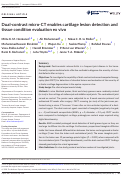 Cover page: Dual-contrast micro-CT enables cartilage lesion detection and tissue condition evaluation ex vivo.