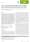 Cover page: Cancer‐cell‐secreted extracellular vesicles target p53 to impair mitochondrial function in muscle