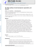 Cover page: The Hippo Pathway in Heart Development, Regeneration, and Diseases