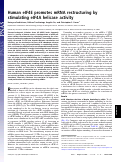 Cover page: Human eIF4E promotes mRNA restructuring by stimulating eIF4A helicase activity