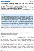 Cover page: Structure and Function of the First Full-Length Murein Peptide Ligase (Mpl) Cell Wall Recycling Protein
