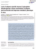 Cover page: Lack of adipose-specific hexose-6-phosphate dehydrogenase causes inactivation of adipose glucocorticoids and improves metabolic phenotype in mice.