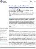 Cover page: Heart of glass anchors Rasip1 at endothelial cell-cell junctions to support vascular integrity