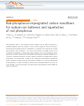 Cover page: Red-phosphorus-impregnated carbon nanofibers for sodium-ion batteries and liquefaction of red phosphorus.