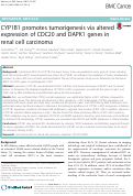 Cover page: CYP1B1 promotes tumorigenesis via altered expression of CDC20 and DAPK1 genes in renal cell carcinoma