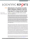 Cover page: Nebulisation of synthetic lamellar lipids mitigates radiation-induced lung injury in a large animal model.