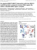 Cover page: An atypical BRCT–BRCT interaction with the XRCC1 scaffold protein compacts human DNA Ligase IIIα within a flexible DNA repair complex