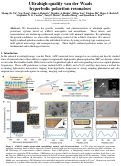 Cover page: Ultrahigh quality van der Waals hyperbolic polariton resonators