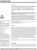 Cover page: Genome-wide functional analysis reveals key roles for kinesins in the mammalian and mosquito stages of the malaria parasite life cycle