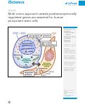 Cover page: Multi-omics approach reveals posttranscriptionally regulated genes are essential for human pluripotent stem cells