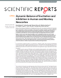 Cover page: Dynamic Balance of Excitation and Inhibition in Human and Monkey Neocortex