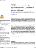 Cover page: Hybrid gene misregulation in multiple developing tissues within a recent adaptive radiation of Cyprinodon pupfishes