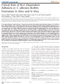 Cover page: Critical Role of Bcr1-Dependent Adhesins in C. albicans Biofilm Formation In Vitro and In Vivo