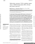 Cover page: Adenovirus serotype 5 E1A sensitizes tumor cells to NKG2D-dependent NK cell lysis and tumor rejection