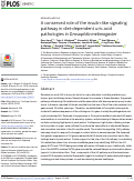 Cover page: A conserved role of the insulin-like signaling pathway in diet-dependent uric acid pathologies in Drosophila melanogaster