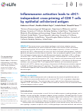 Cover page: Inflammasome activation leads to cDC1-independent cross-priming of CD8 T cells by epithelial cell-derived antigen