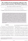 Cover page: The multifunctional autophagy pathway in the human malaria parasite, Plasmodium falciparum