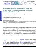 Cover page: Arabidopsis apoplastic fluid contains sRNA- and circular RNA-protein complexes that are located outside extracellular vesicles.