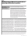 Cover page: RUNX2 promotes fibrosis via an alveolar-to-pathological fibroblast transition