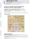 Cover page: Recovery of consolidation after sleep following stroke—interaction of slow waves, spindles, and GABA