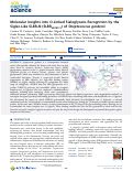 Cover page: Molecular Insights into O‑Linked Sialoglycans Recognition by the Siglec-Like SLBR‑N (SLBRUB10712) of Streptococcus gordonii