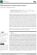 Cover page: Pathomechanisms of Diabetic Kidney Disease.