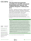 Cover page: Chromosome-level genome assembly of a benthic associated Syngnathiformes species: the common dragonet, Callionymus lyra.