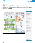 Cover page: β-hydroxybutyrate recapitulates the beneficial effects of ketogenic metabolic therapy in polycystic kidney disease