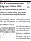 Cover page: Nature and human well-being: The olfactory pathway.