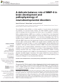 Cover page: A delicate balance: role of MMP-9 in brain development and pathophysiology of neurodevelopmental disorders.