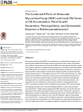 Cover page: The Combined Effects of Arbuscular Mycorrhizal Fungi (AMF) and Lead (Pb) Stress on Pb Accumulation, Plant Growth Parameters, Photosynthesis, and Antioxidant Enzymes in Robinia pseudoacacia L.