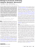 Cover page: Biological clockwork underlying adaptive rhythmic movements