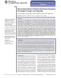 Cover page: Mesenchymal Stem Cell Spheroids Retain Osteogenic Phenotype Through α2β1 Signaling