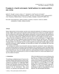 Cover page: Foraging in a fractal environment: Spatial patterns in a marine predator-prey system