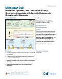 Cover page: Prevalent, Dynamic, and Conserved R-Loop Structures Associate with Specific Epigenomic Signatures in Mammals