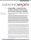 Cover page: Impaired BKCa channel function in native vascular smooth muscle from humans with type 2 diabetes