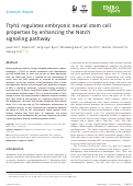 Cover page: Ttyh1 regulates embryonic neural stem cell properties by enhancing the Notch signaling pathway