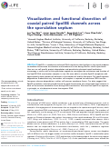 Cover page: Visualization and functional dissection of coaxial paired SpoIIIE channels across the sporulation septum