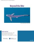 Cover page: Beyond the Bite&nbsp;