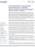 Cover page: Cortical plasticity is associated with blood-brain barrier modulation.