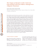 Cover page: The Origin of Mutants Under Selection: How Natural Selection Mimics Mutagenesis (Adaptive Mutation)