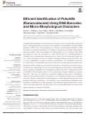 Cover page: Efficient Identification of Pulsatilla (Ranunculaceae) Using DNA Barcodes and Micro-Morphological Characters