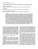 Cover page: A photosynthetic strategy for coping in a high-light, low-nutrient environment
