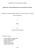Cover page: Mechanisms of Axonal Regeneration in the Central Nervous System /