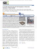 Cover page: X‑ray Microspectroscopy and Ptychography on Nanoscale Structures in Rock Varnish