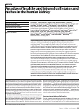 Cover page: An atlas of healthy and injured cell states and niches in the human kidney.
