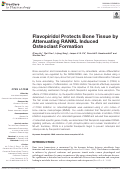 Cover page: Flavopiridol Protects Bone Tissue by Attenuating RANKL Induced Osteoclast Formation