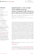 Cover page: Agrobacterium- and a single Cas9-sgRNA transcript system-mediated high efficiency gene editing in perennial ryegrass