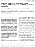 Cover page: Structural basis for the dynamics of human methionyl-tRNA synthetase in multi-tRNA synthetase complexes